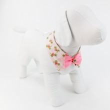 Gola pra Cachorro 